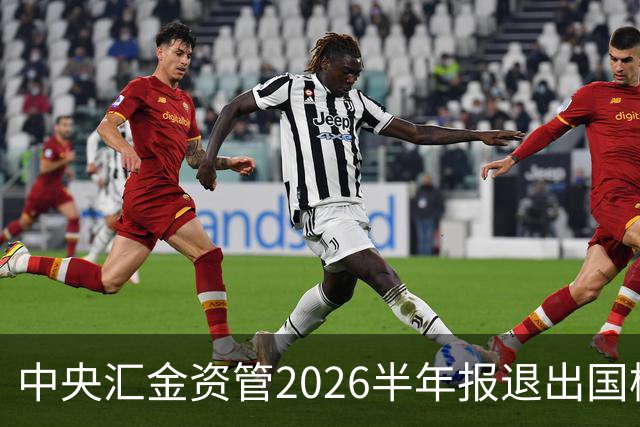 中央汇金资管2026半年报退出国检集团前十大股东名单
