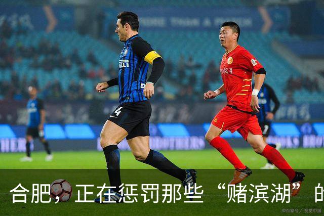 合肥，正在惩罚那些“赌滨湖”的人