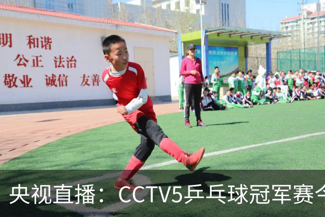 央视直播：CCTV5乒乓球冠军赛今日节目，附今日国乒5场赛程