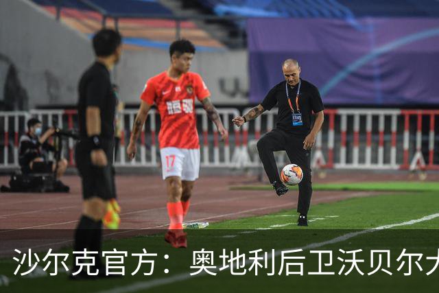 沙尔克官方：奥地利后卫沃贝尔大腿拉伤