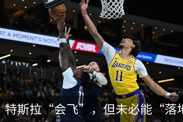 特斯拉“会飞”，但未必能“落地” | 新京报快评