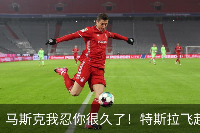 马斯克我忍你很久了！特斯拉飞起来了，我们还在争论断轴