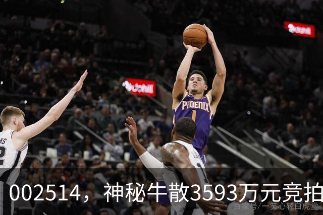002514，神秘牛散3593万元竞拍股权，将成第三大股东