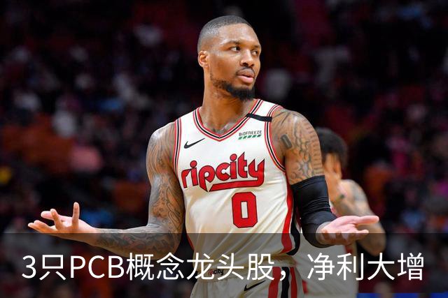 3只PCB概念龙头股，净利大增
